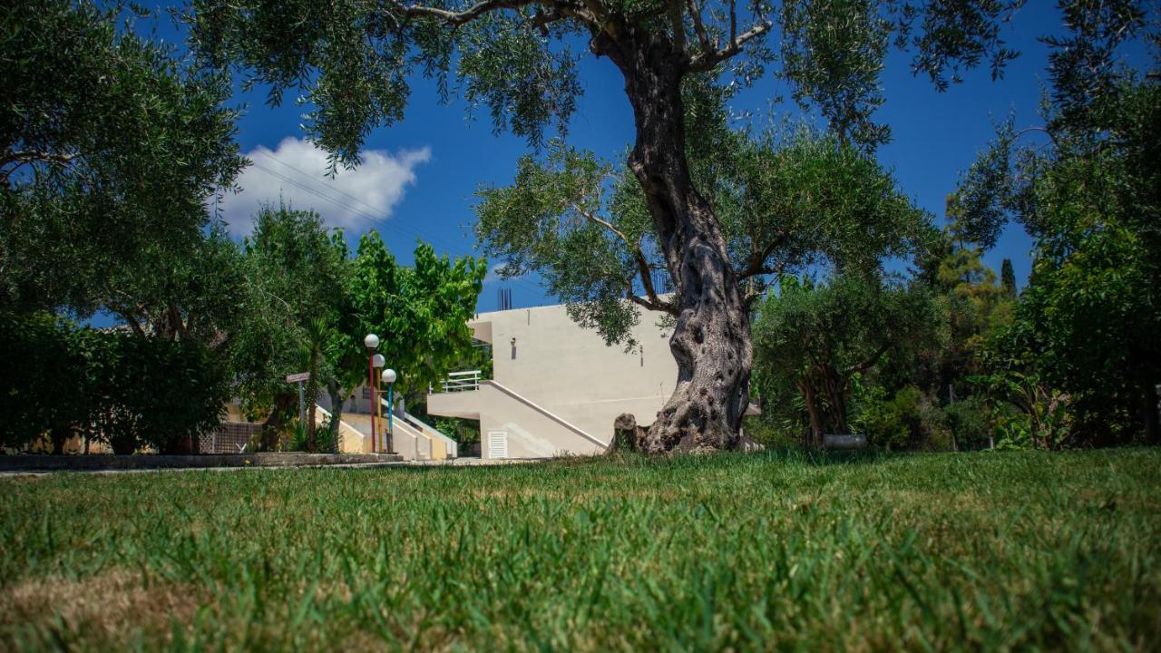 Kalypso Studio Resorts Kávosz Kültér fotó