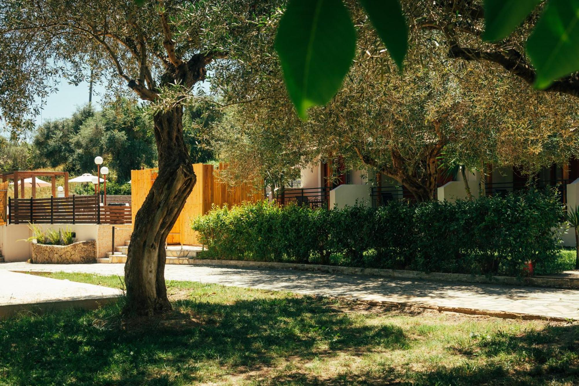 Kalypso Studio Resorts Kávosz Kültér fotó
